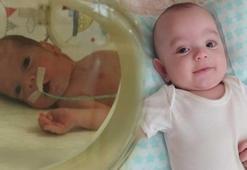 17 günlük bebek kuvözden düştü! Sorumlu hemşireden şok savunma: ‘Kendisi düşmüş’