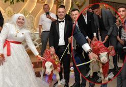 Gelin ve damat takı töreninde şaşkına döndü! ‘Değişiklik olsun diye hediye ettik’