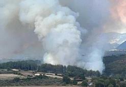 Osmaniye'de çıkan orman yangını kontrol altına alındı