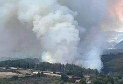 Osmaniye'de orman yangını! Müdahale başladı