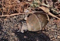 Bursa sahilinde panik! İznik Gölü kıyısında el bombası bulundu