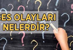 Ses Olayları Nelerdir? Türkçe Ses Bilgisi Ünsüz Benzeşmesi, Ünsüz Değişimi, Ünlü Düşmesi, Ünlü Değişimi, Ünsüz Türemesi ve Ünlü Türemesi ile İlgili Örnekler