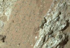 Tüm sırrı leopar çözecek! Mars'ta yaşam olduğuna dair en güçlü kanıt bulundu