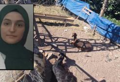 Diyarbakır’da feci olay! Yerde yatan keçiye dokunan Pervin can verdi