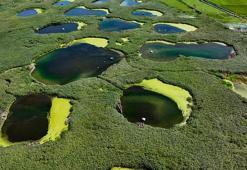 Edirne'deki Göl Baba sulak alanı adeta vahayı andırıyor