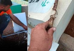 Mezar ustasını dehşete düşüren manzara! Kazmayı her vurduğu yerden çıktı