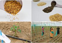 Batı Akdeniz'de hububat sektörünün ihracatı arttı