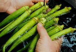 Bamyayı sakın böyle yıkamayın! Lezzet sırrı temizliğinde gizli, tadı nefis oluyor