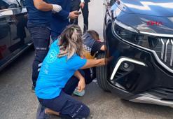 Bakan konvoyundaki araca giren yavru kediyi 112 ekipleri kurtardı