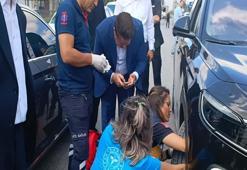 Bakan konvoyunda araca yavru kedi girdi! Yaramaz kedi ekipleri uğraştırdı