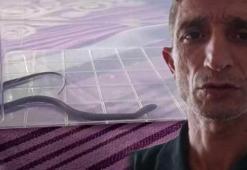 Yer: Diyarbakır! Çocuk odasında yılan paniği: ‘4’ncü katta oturuyorum buraya nasıl geldi?’