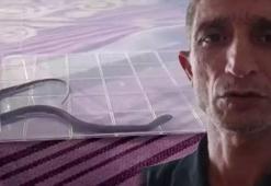 Çocuk odasında yılan paniği