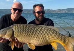 Sapanca Gölü’nde şok anlar! Oltaya takılan dev şaşkına çevirdi