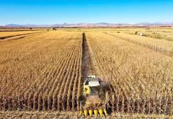 Tarım ÜFE ağustosta azaldı