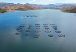 Türk somonlarının Rusya'daki sofralara yolculuğu başladı