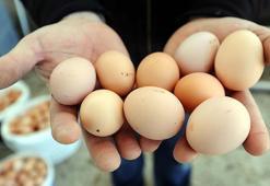 90 TL’ye kadar inen yumurta fiyatında dikkat çeken artış! Nedeni belli oldu