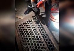 Mazgaldan kurtarılan yavru kediye 'Mazgal' adı verildi