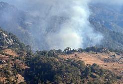 Köyceğiz'de orman yangını! Havadan karadan müdahale