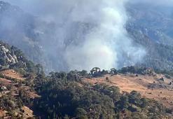 Köyceğiz'de orman yangını! Havadan karadan müdahale