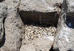 Tahtaköprü Barajı’nda su çekildi, tarih gün yüzüne çıktı! Hamamlar Höyüğü’ndeki neolitik izler bulundu