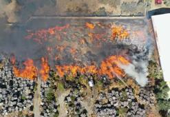 Palet fabrikasında büyük yangın! İşte olay yerinden görüntüler...