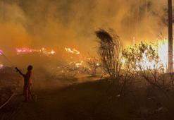 Antalya’daki orman yangınında kundaklama iddiası