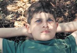 Barış çağrısı İsrailli bakanı kızdırdı