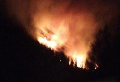 Muğla’da orman yangını! Ekipler müdahale ediyor