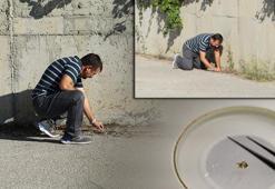 Okyanustan Çankırı'ya! Otoparkta şaşkına çeviren keşif: Buraya gelmiş, uyum sağlamış, adapte olmuş