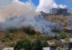 Kağıthane’de ağaçlık alanda yangın! İtfaiye ekipleri sevk edildi