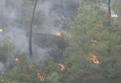 Köyceğiz'de orman yangını devam ediyor