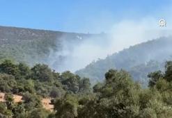 Milas'ta çıkan orman yangınına müdahale ediliyor