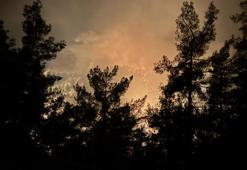 Yangın büyüyor, tahliyeler başladı! 3 ilde zamanla yarış: Alevler evlere dayandı