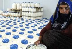 3 bin rakımda üretiliyor, 120 gün sonra olgunlaşıyor! 'Türkiye'nin dört bir yanına gönderiyoruz'