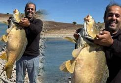 Kendi bile şoke oldu! Devasa balık oltaya takıldı
