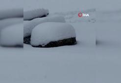 Kaçkar Dağları’nda kar kalınlığı yarım metreye ulaştı