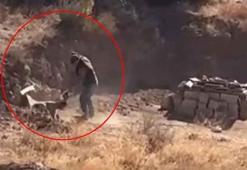 Sivas’ta vahşet! 4 aylık yavru köpeğin başına sopayla defalarca vurdu