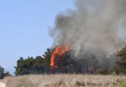 Manavgat'ta orman yangını! Havadan karadan müdahale