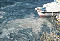 ‘Şakası kalmadı, Marmara Denizi ağır yaralı’