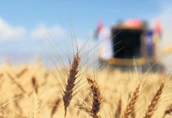 ‘Türkiye gıdada stratejik merkez olabilir’