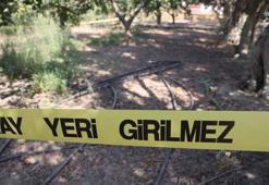 Narenciye bahçesinde vahşet! Para için arkadaşını satırla doğradı