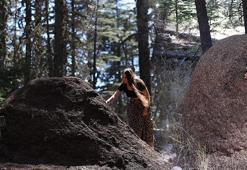 Yer: Antalya! Bölgeye özel izinle giriliyor... Ormandaki dev yuvaların sırrı