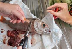 Ne kılçıkla uğraş ne el kokusuyla! Balık ayıklamada cımbız mucizesi, çok pratik
