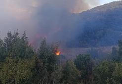 Burdur tarlada çıkan yangın ormana sıçradı