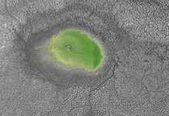 Edirne’de korkunç manzara! 5’inden 4’ü tamamen yok oldu: ‘Bacası ortaya çıktı’