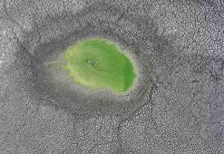 Edirne'de Habiller köyündeki 5 göletten 4'ü kuraklığa bağlı kurudu