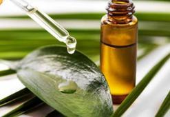 Doğal diye bilinçsiz kullanmayın! Çay ağacı yağını böyle hazırlayan yaşadı