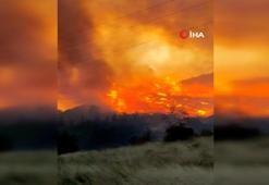 Bursa'da orman yangını...Rüzgarın etkisiyle büyüdü