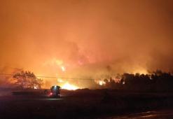 Bursa'daki orman yangını kontrol altına alındı