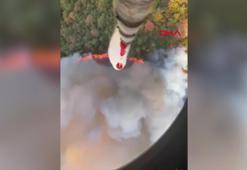 Balıkesir'de orman yangını